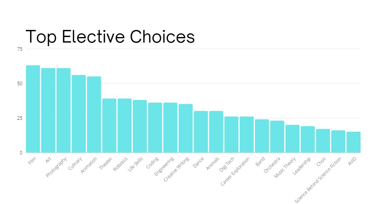 Top Elective Choices bar graph.