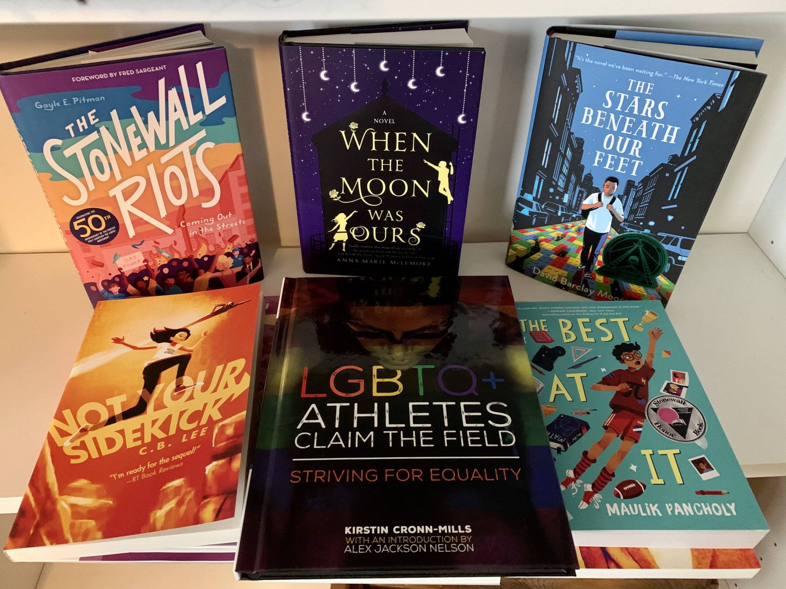 Books lined up on display.